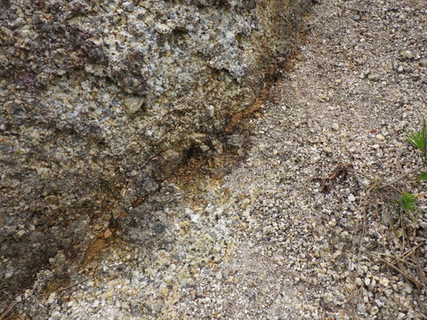 RIMG5468.JPG